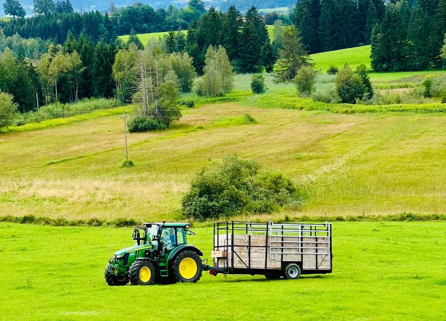 Bio-Ferienhof Koepf Rieden am Forggensee Germany