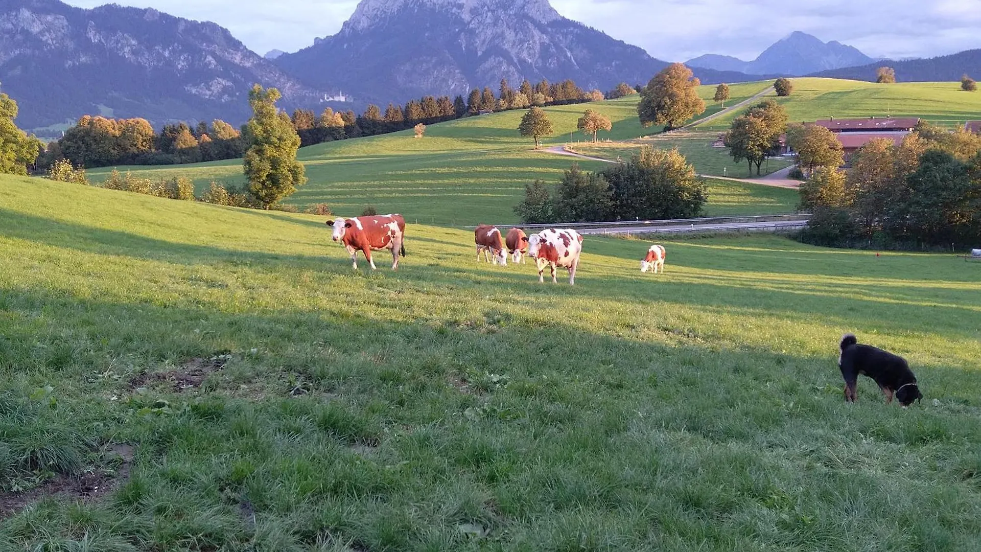 Bio-Ferienhof Koepf Rieden am Forggensee Germany
