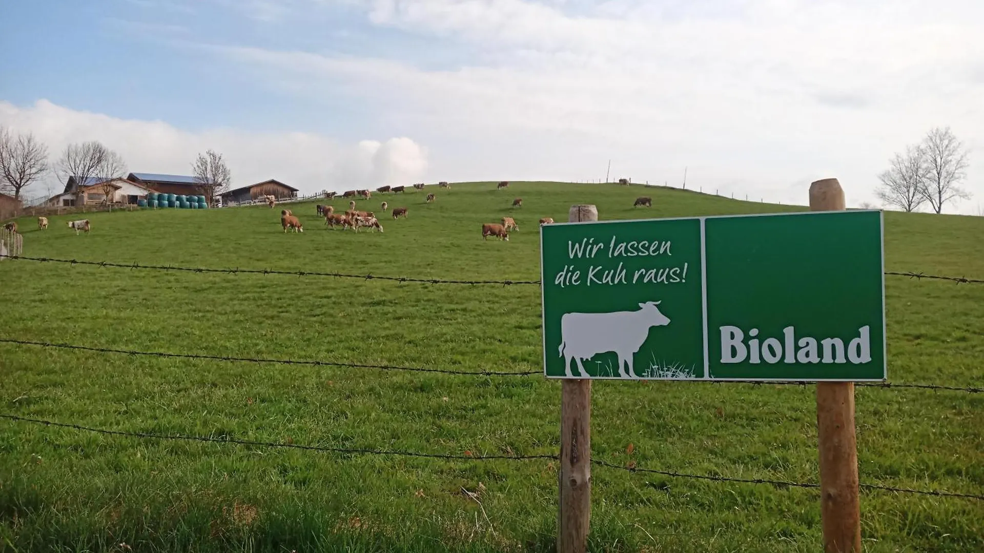 Bio-Ferienhof Koepf Rieden am Forggensee Apartment